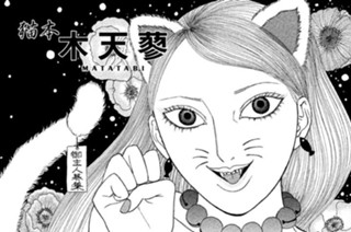 猫本 木天蓼 ＭＡＴＡＴＡＢＩ 표지