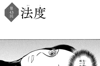 第４３回 法度（はっと） 표지