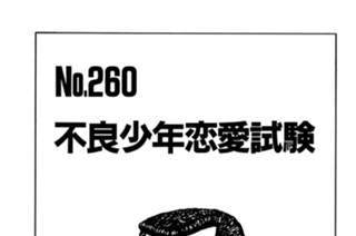 不良少年恋愛試験 표지