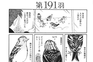 第１９１羽 표지