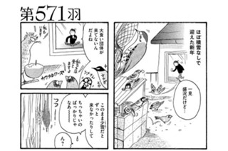 第５７１羽 표지