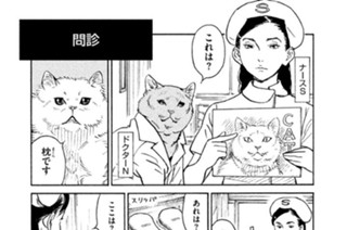 プ〜ねこ（１０５） 問診 표지