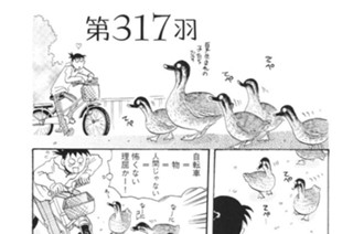 第３１７羽 표지
