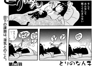 第８４０羽 표지