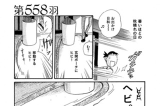 第５５８羽 표지