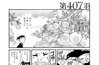 第４０７羽 표지