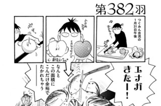 第３８２羽 표지