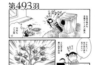 第４９３羽 표지