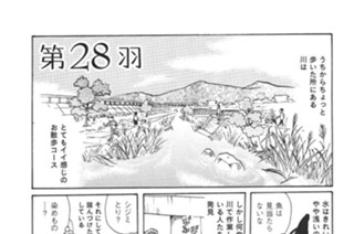 第２８羽 표지