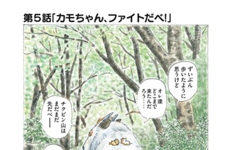 第５話 「カモちゃん、ファイトだべ！」 표지
