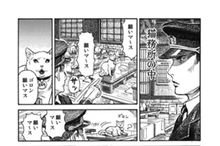 プ〜ねこ（６７） 표지
