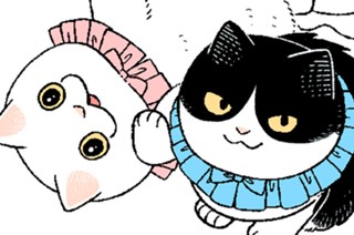 休載のお知らせ 표지