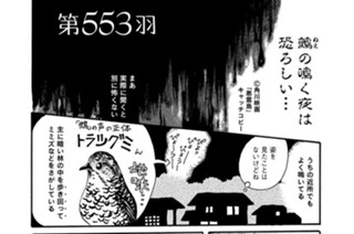 第５５３羽 표지