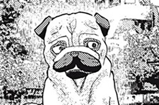 ＃６０ 潜る犬 표지