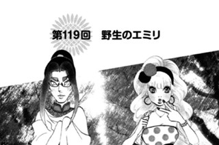 第１１９回 野生のエミリ 표지