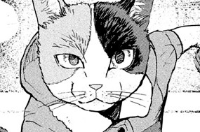 ＃１７ 振り返る犬 표지