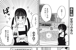 79화 番外編38 星祭りの布石 표지