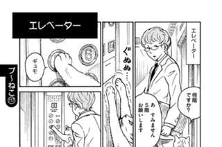 プ〜ねこ（１１７） エレベーター 표지