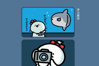 178화 １７８．マンボウ 표지
