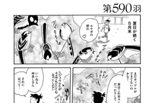 第５９０羽 표지