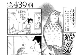 第４３９羽 표지
