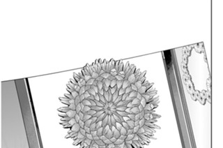 Ｏｐ．３８ 花屋の娘 표지