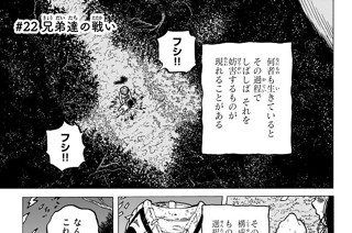 ＃２２ 兄弟達の戦い 표지