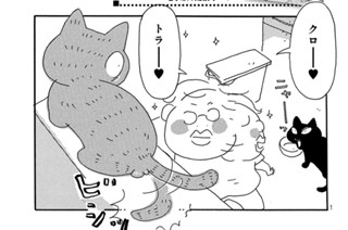 Ｖｏｌ．４ 표지