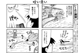 第６９１羽 표지