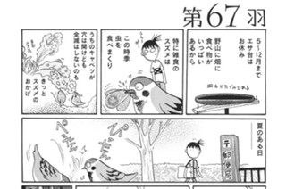 第６７羽 표지