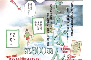 第８００羽 표지