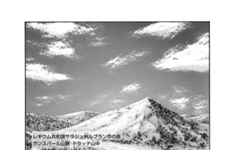 ♯３０ グレイブ・フォレスト 표지