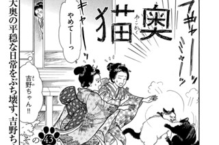 その４３ 표지