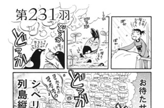 第２３１羽 표지