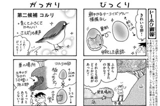 第９２７羽 표지