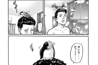 第１２話 名前をつけましょう 표지