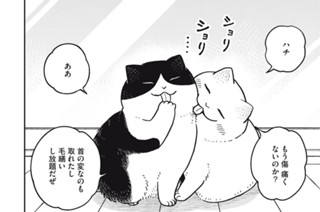 第１９話 洗い流された絆 표지