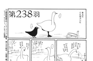 第２３８羽 표지