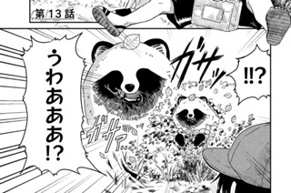 第１３話 カブトムシ 표지