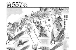 第５５７羽 표지