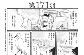 第１７１羽 표지