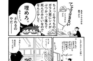 第５２６羽 표지