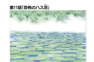 第１１話 「恐怖のハス沼」 표지