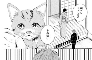 ショートストーリー 子猫と椿 표지
