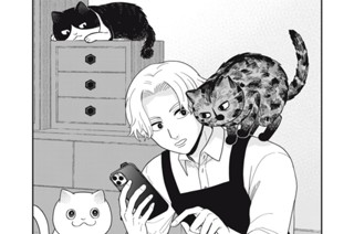 第３８話 猫と人のすれ違い 표지