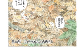 第１８話 「カモちゃんとの再会」 표지