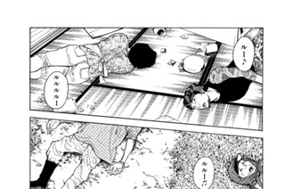 第４９話 モテ期到来 표지