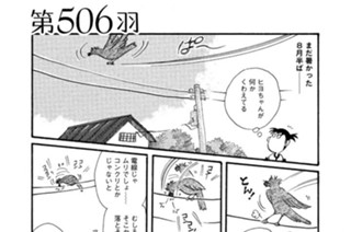 第５０６羽 표지