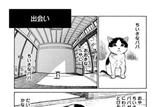 プ～ねこ（１６１） 出会い 표지