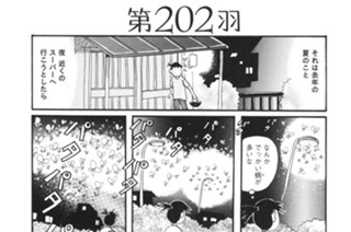第２０２羽 표지